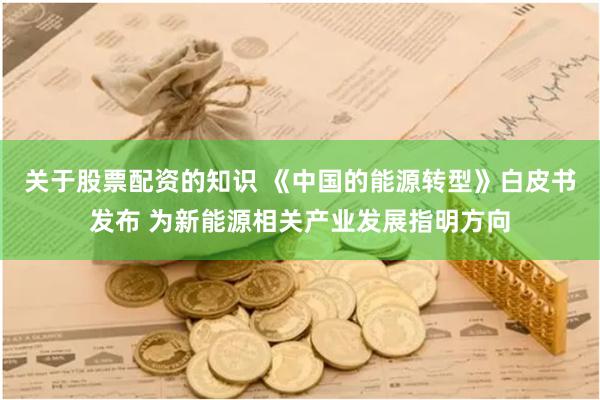 关于股票配资的知识 《中国的能源转型》白皮书发布 为新能源相关产业发展指明方向