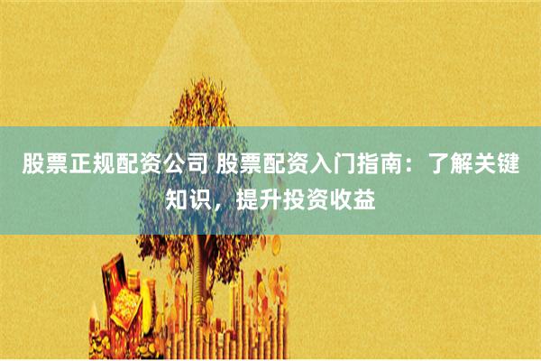 股票正规配资公司 股票配资入门指南：了解关键知识，提升投资收益